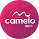 Agência de SEO | Camelo Digital